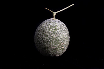 Photo of full organic melon from your own garden with a black background