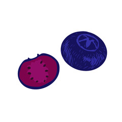 vector illustration fruit delicious juicy blueberries