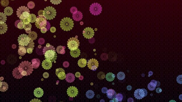 風に流れ舞う菊模様アニメーション　臙脂色の背景　コピースペース