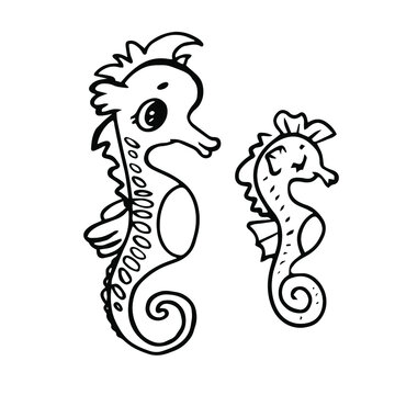 illustration vector doodle linear drawing sea seahorse