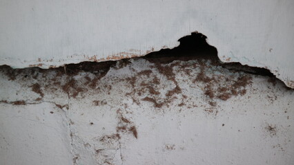 broken walls