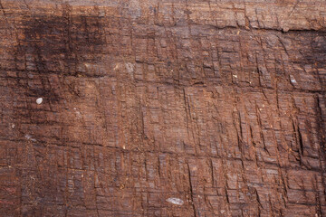 Old wood cracked and dust background texture.