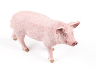 Pig Isolated on White Background