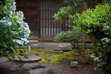 Fototapeta na wymiar 日本家屋の玄関　紫陽花