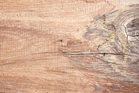 old wood background nature brown