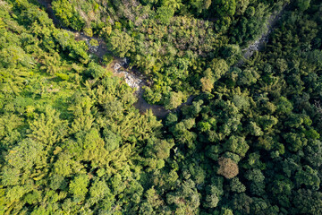 Naklejka premium Aerial view of river in tropical rainforest