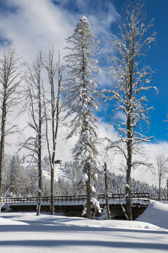 Sochi, Krasnaya Polyana, Russia - January 21, 2022:  Bridge are on road  in the winter mountain forest on ski resort