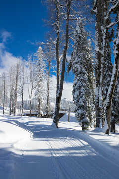 Sochi, Krasnaya Polyana, Russia - January 21, 2022:  Road are in the winter mountain forest on ski resort