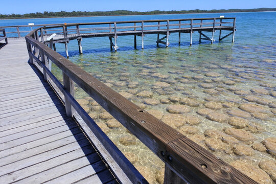 Wooden jetty over Lake clifton thrombolites Western Australia