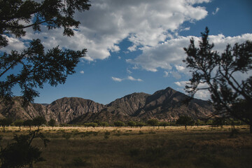 Mountain view through the trees 
