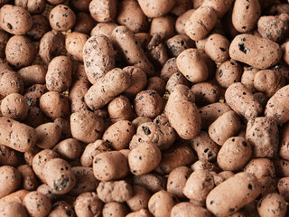 Closeup of large lightweight expanded clay aggregates (LECA) are used for growing plants without...