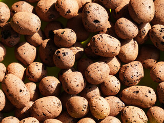 Large lightweight expanded clay aggregates (LECA) are used for growing plants without soil.