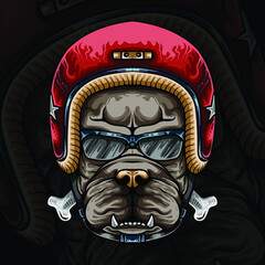 and drawn t shirt design pit bull dog with helmet