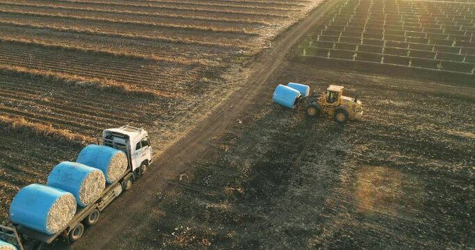 Kibbutz, Israel - 25 November 2021: Aerial view of a tractor loading cotton bales on truck, Kibbutz Saar, Mate Asher, Israel.