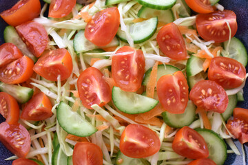 Vegetables salad with cucumber, carrot, tomato and cabbage on a plate.
