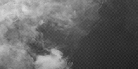 Fog effect or lady on a dark background. Vector