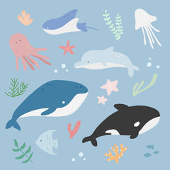 Obraz na płótnie Canvas Illustration of marine life. Whale, Octopus, Jellyfish, Dolphin, Killer Whale, Stingray.