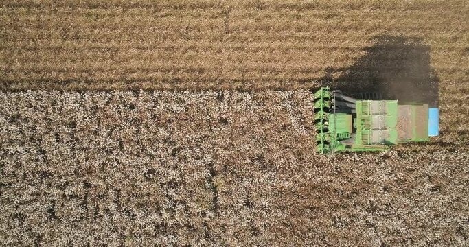 Kibbutz, Israel - 25 November 2021: Aerial view of a combine picking cotton in the field, Kibbutz Saar, Mate Asher,  Israel