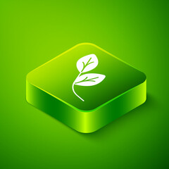 Isometric Leaf icon isolated on green background. Leaves sign. Fresh natural product symbol. Green square button. Vector