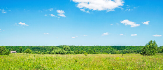 A wall of forest, a wide panorama of the natural landscape on a clear day with clouds in the sky and a small house