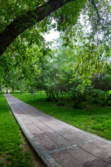 alley in the park