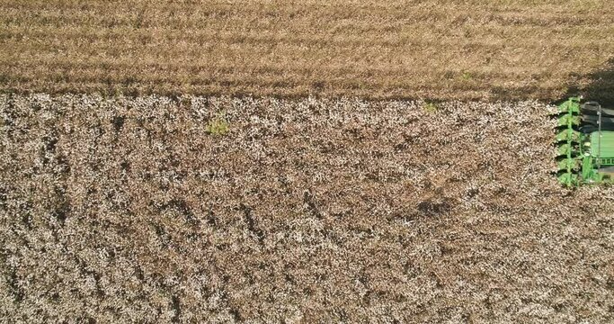 Kibbutz, Israel - 25 November 2021: Aerial view of a combine picking cotton in the field, Kibbutz Saar, Mate Asher,  Israel