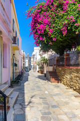 Fototapeta na wymiar Street view of traditional houses and a colorful bougainvillea tree in Ermoupolis, Syros island, Greece