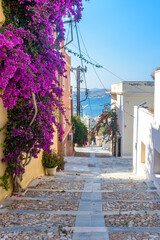 Street view of  traditional houses and a colorful bougainvillea tree in Ermoupolis, Syros island,...