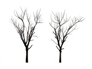 Fototapeta na wymiar Collection of black tree silhouettes isolated on white background , silhouette of trees