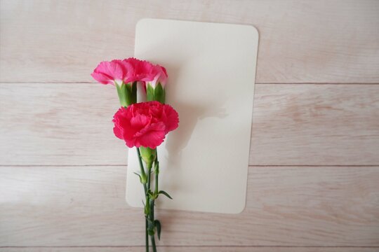 A blank card decoration with pink beautiful carnation flowers. Spring greeting, Mother's day, greeting message background. 