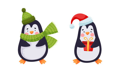 Cute penguin characters set. Adorable penguins in winter clothing cartoon vector illustration