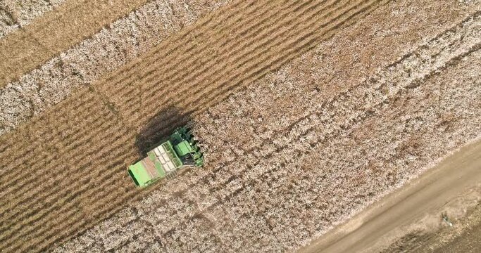 Kibbutz, Israel - 25 November 2021: Aerial view of a combine picking cotton in the field, Kibbutz Saar, Mate Asher,  Israel