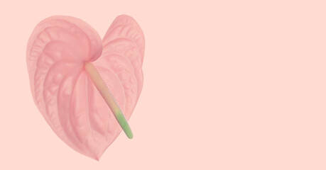  Pink flower in the shape of a heart isolated on pink background - obrazy, fototapety, plakaty