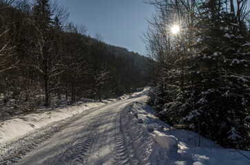 Bieszczady w zimie 