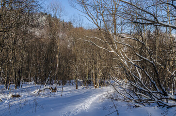 Bieszczady w zimie 