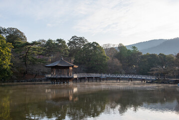 奈良公園