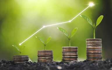 Seedling are growing on coins are stacked and the seedlings in Concept of finance And Investment of...
