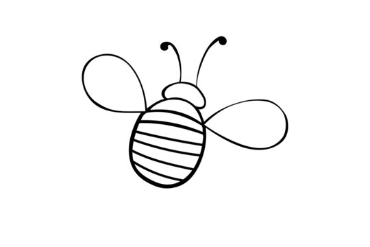 Vector black outline fat little bee in doodle style. Cute cartoon honey insect. Top view. Clipart, design element on theme of nature, spring, summer, isolated