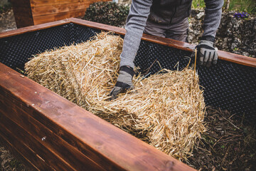 Man filling straw into the raised bed