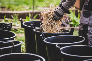 Mulching with straw, cultivation with buckets
