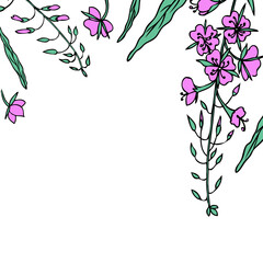 Decorative frame willow herb, Chamerion angustifolium, fireweed, rosebay, Healing herb hand drawn sketch vector isolated on white background, design bouquet for invite, packaging tea, cosmetic