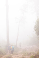 Tourists are hiking. The atmosphere around the tourists is full of mist