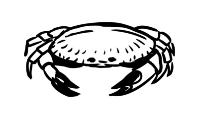 Sketch style icon of crab. Vector hand drawn illustration