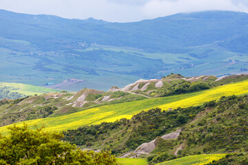 Tuscan countryside view of a valley with flowering fields