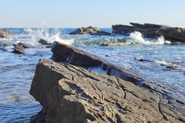 犬吠埼の白亜紀浅海堆積物（千葉県銚子市）