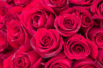 natural red roses background. great gift for valentines day, birthday, and marriage.