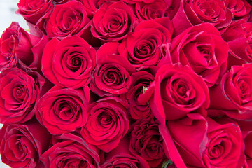 Obraz premium natural red roses background. great gift for valentines day, birthday, and marriage.