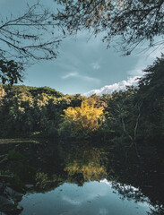 autumn in the mountains