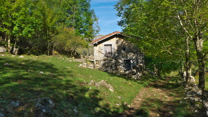 house in the woods