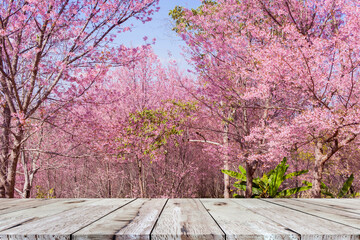 Empty brown wood table for display product and beautiful pink sakura flower with blue sky background.
